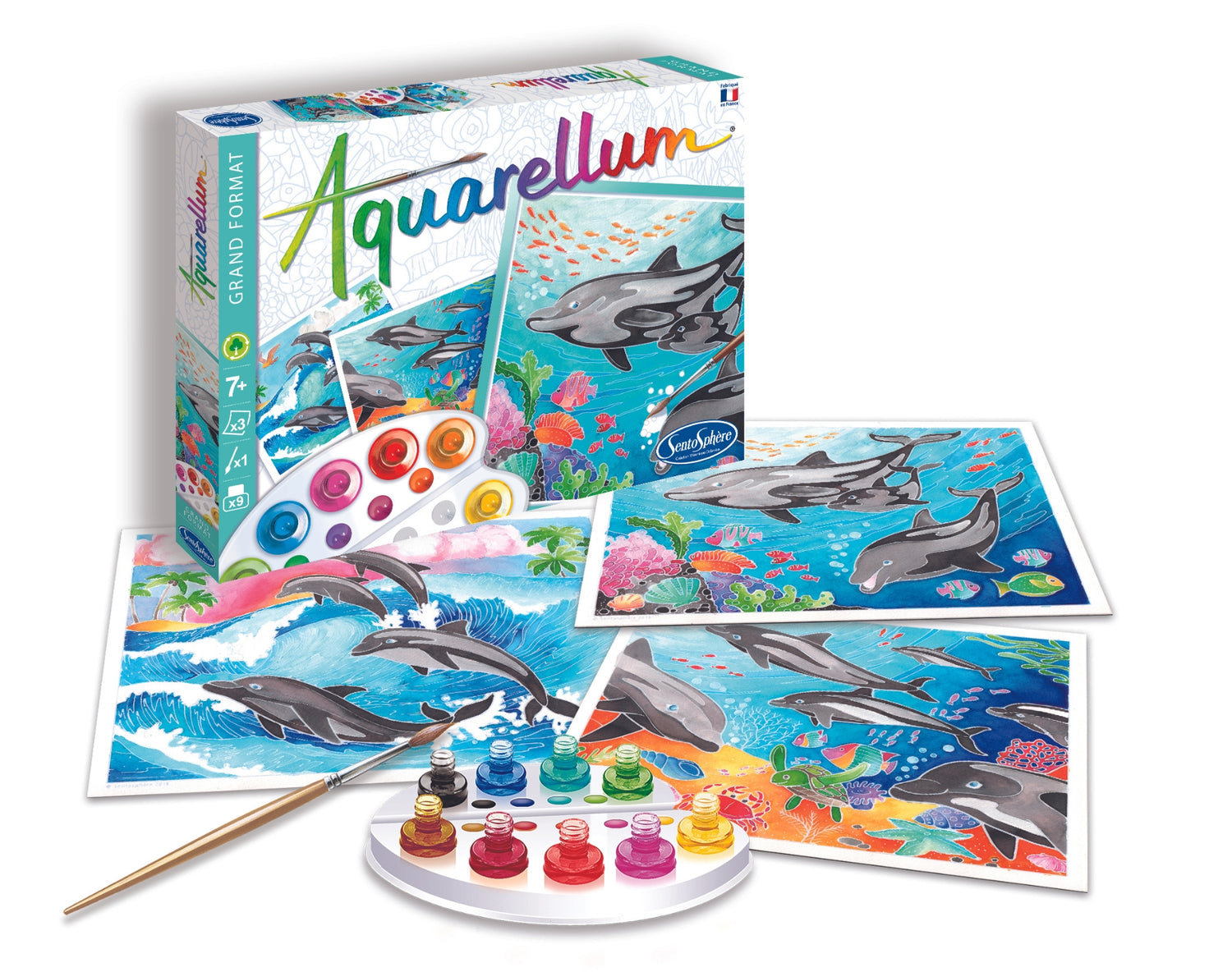 Aquarellum - Делфини