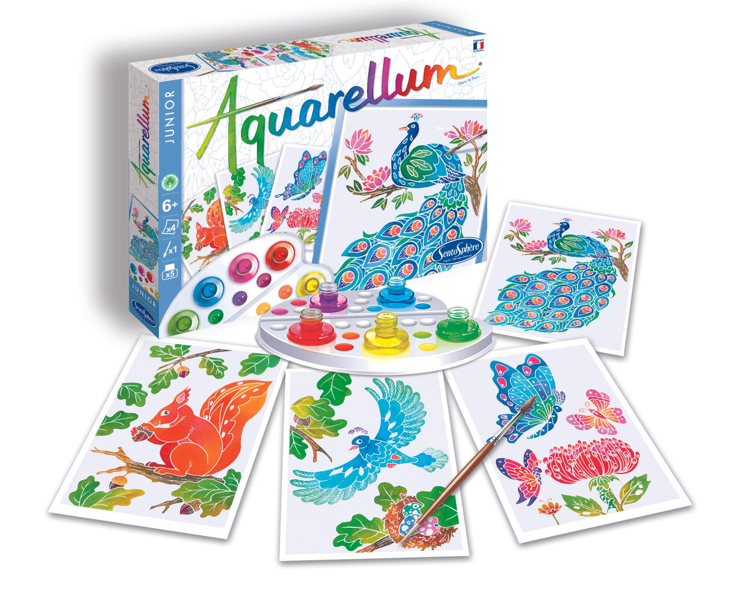 Снимки - Aquarellum Junior - В парка