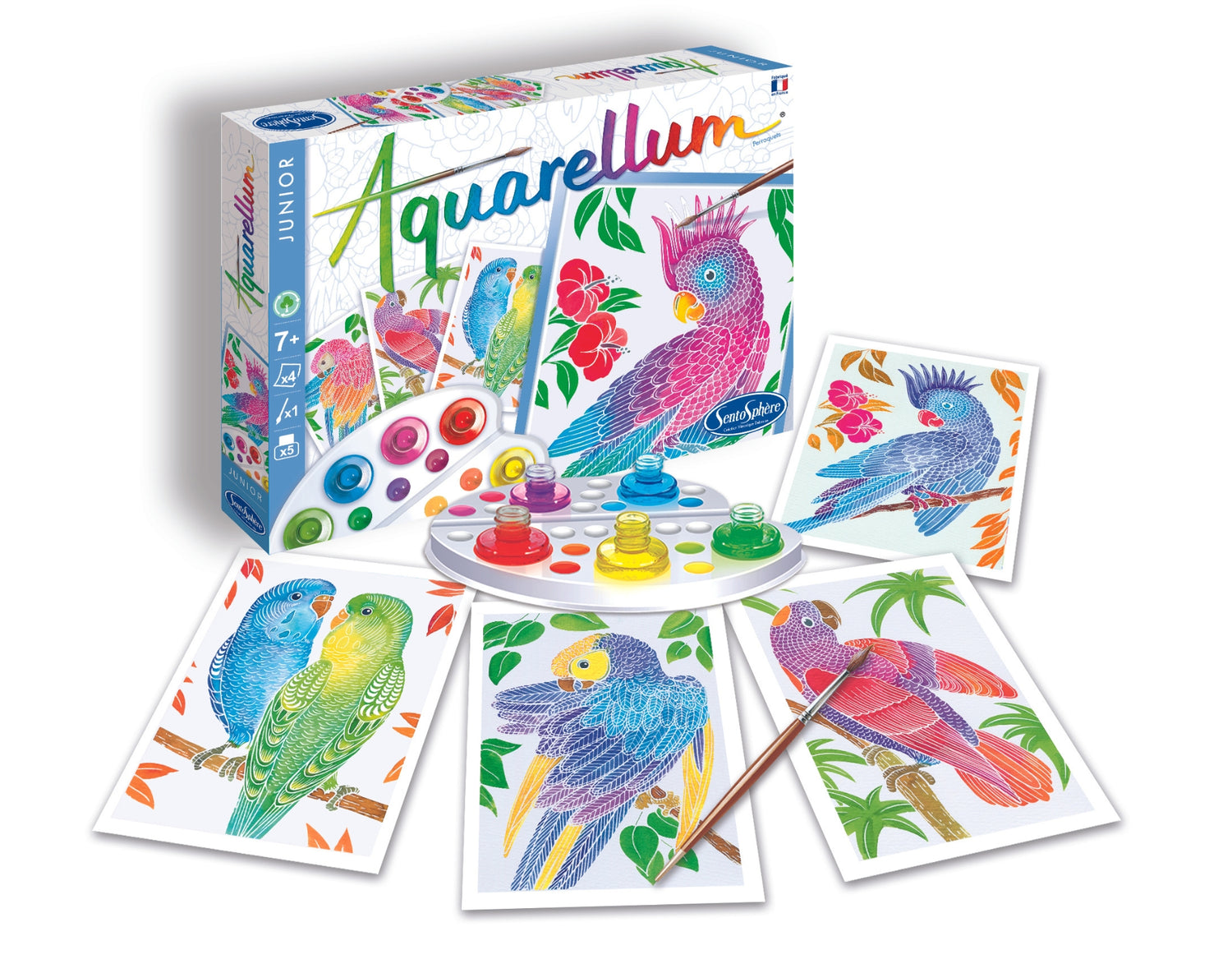 Снимки - Aquarellum Junior - Папагали