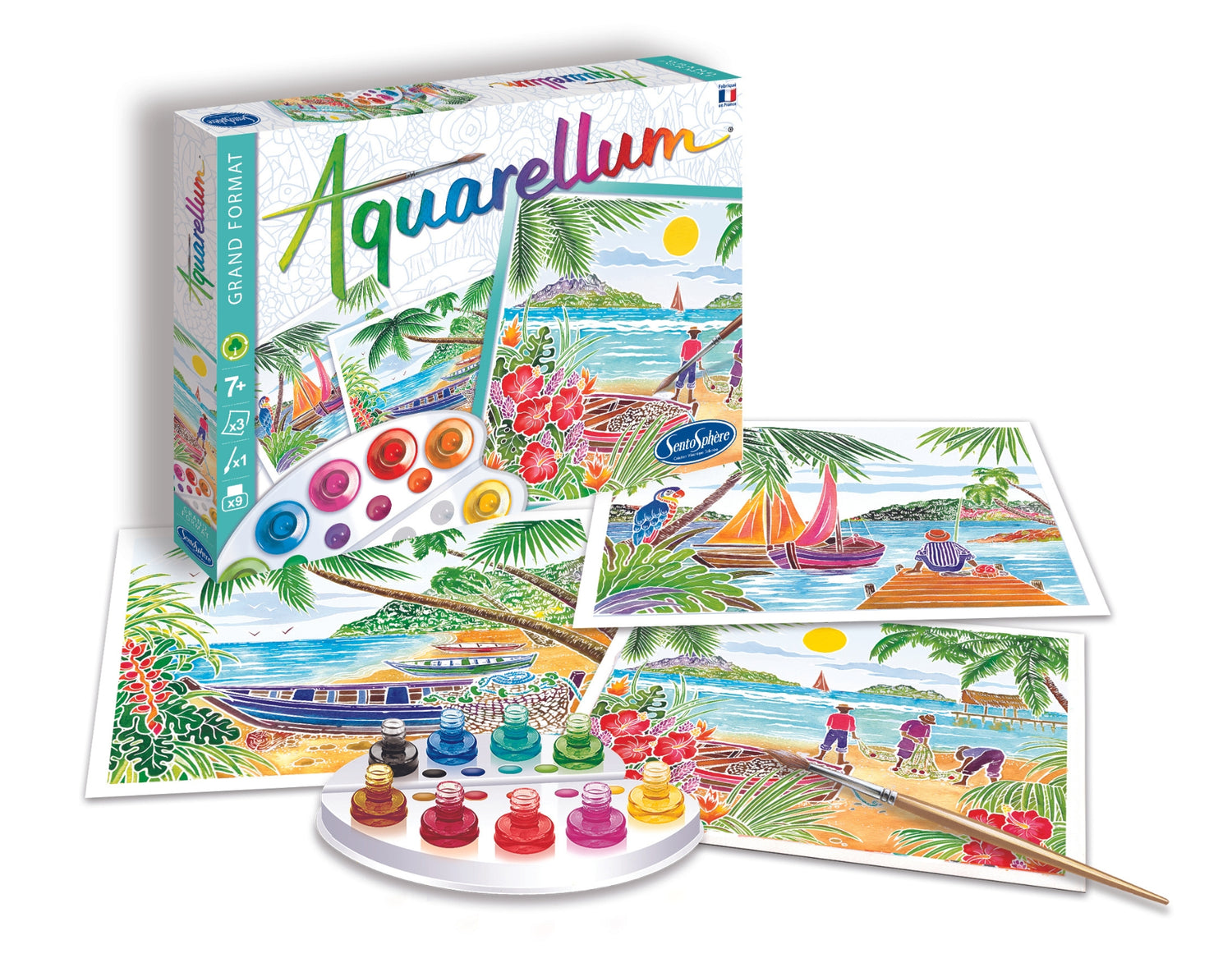 Aquarellum - Тропически региони